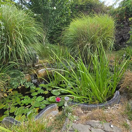 Familienglueck Mit Grossem Garten Und Pool וילה גרסדורף ביי וין